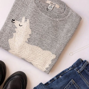 6 Reasons you’ll fall in love with Alpaca sweaters