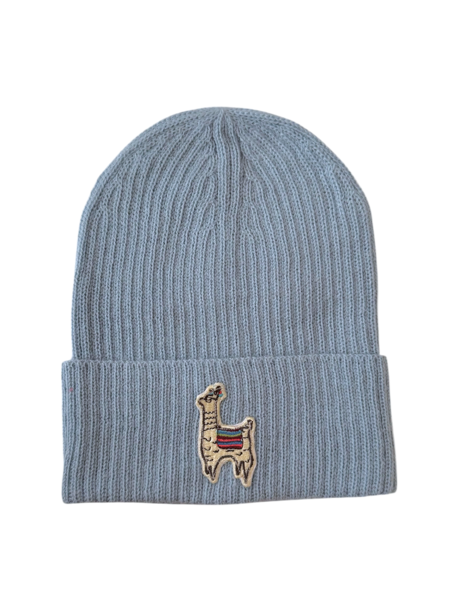 Blue beanie with a small embroidered design on a white background