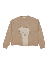 Load image into Gallery viewer, Alpaca Sweater
