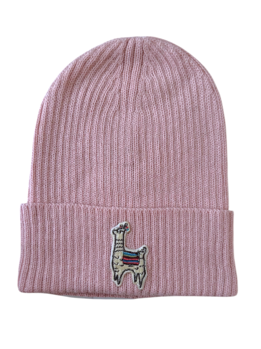 Girl wearing an alpaca pink beanie with a light blue sweater with a llama design beanie outdoors.